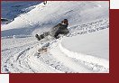 Skask drha z Lazaunhtte do Kurzras