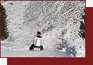 Skask drha z Lazaunhtte do Kurzras