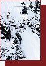 Xtreme Verbier 2007