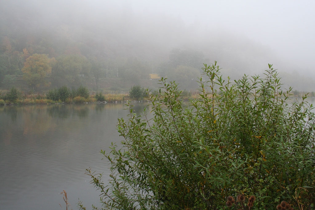 Vltava 2008