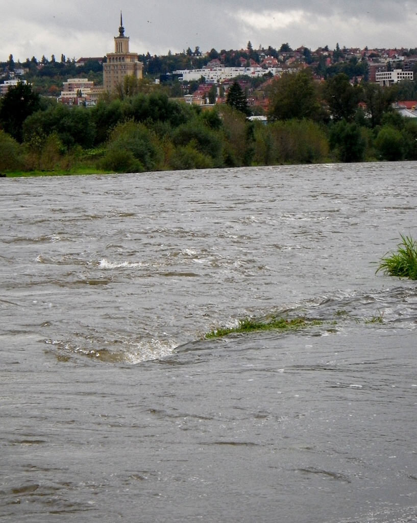 Nap Prahou pes ti jezy 2010 - Horydoly.cz 