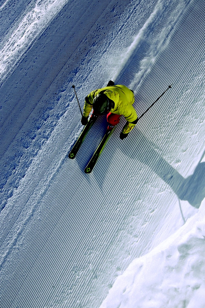 Vlkl 2008/2009