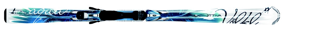 Vlkl 2008/2009