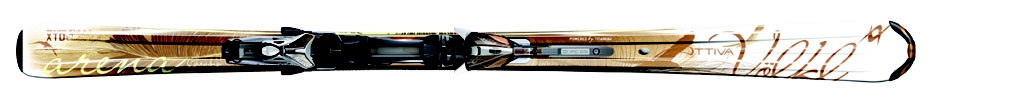 Vlkl 2008/2009