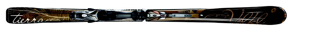 Vlkl 2008/2009