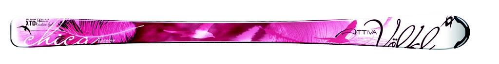 Vlkl 2008/2009