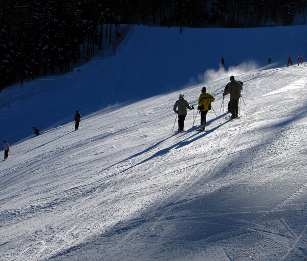 Vogzy (Vosges) - Horydoly.cz 