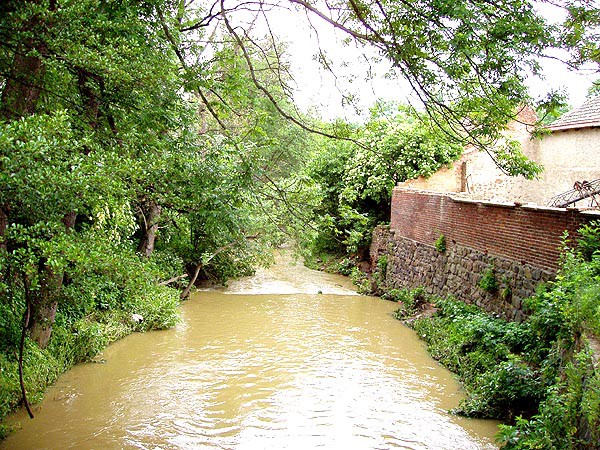 Vrovka (t Vavineck potok a Kouimka)