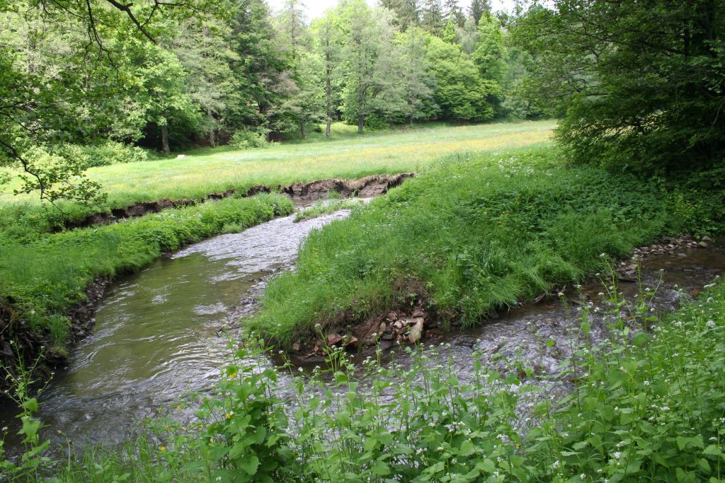 Vysoina, Kemenick vrchovina, potoky 28. 5. 2006