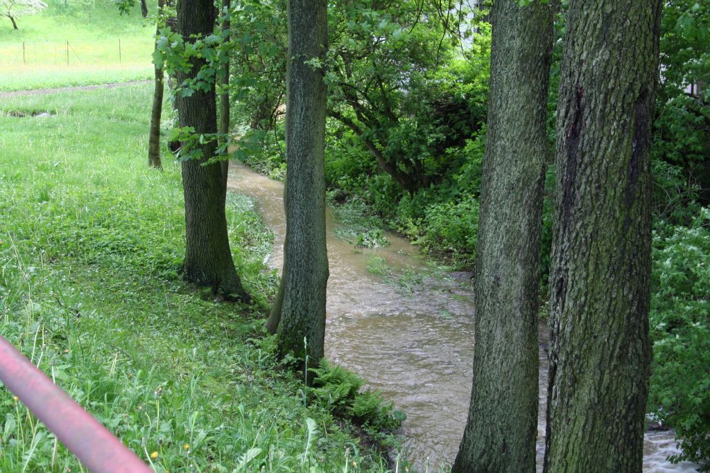 Vysoina, Kemenick vrchovina, potoky 28. 5. 2006