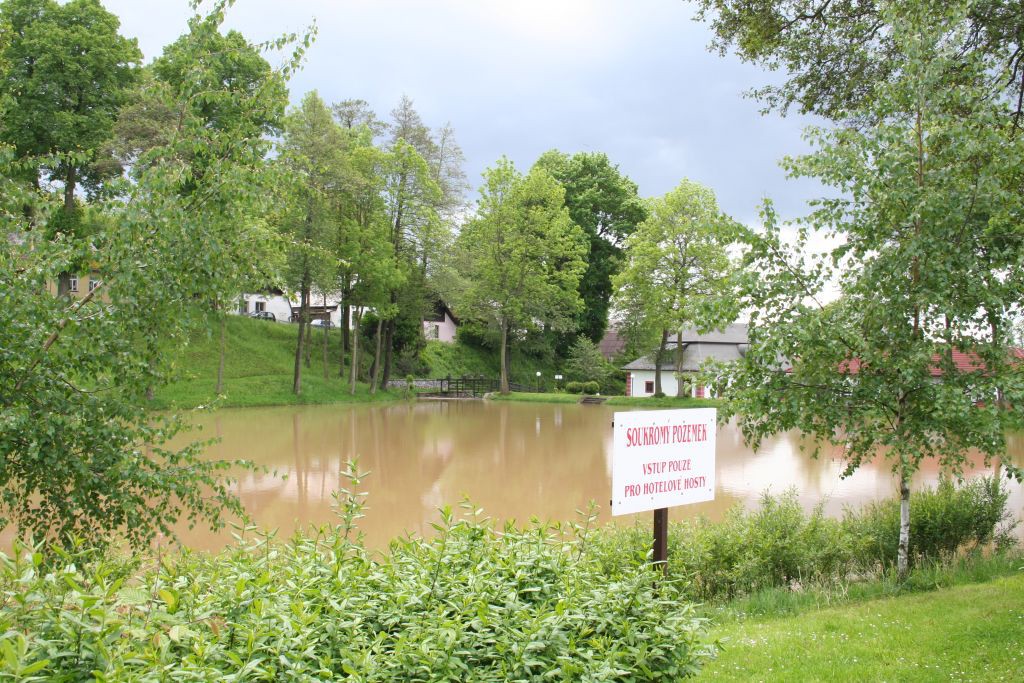 Vysoina, Kemenick vrchovina, potoky 28. 5. 2006