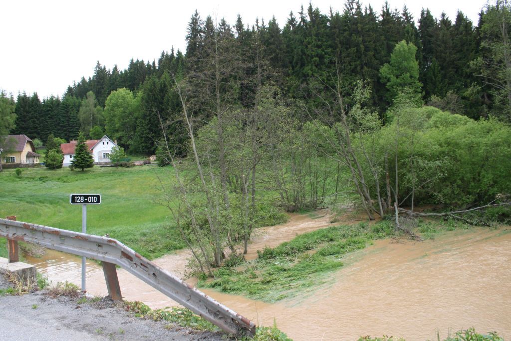 Vysoina, Kemenick vrchovina, potoky 28. 5. 2006