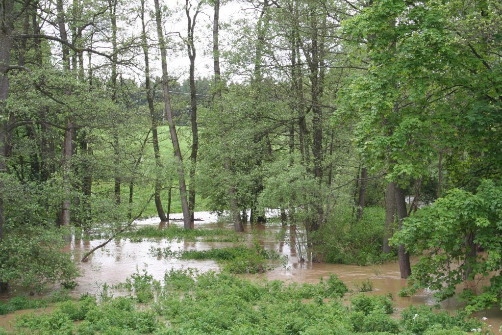 Vysoina, Kemenick vrchovina, potoky 28. 5. 2006