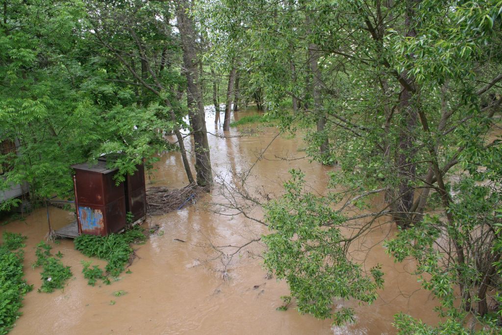 Vysoina, Kemenick vrchovina, potoky 28. 5. 2006