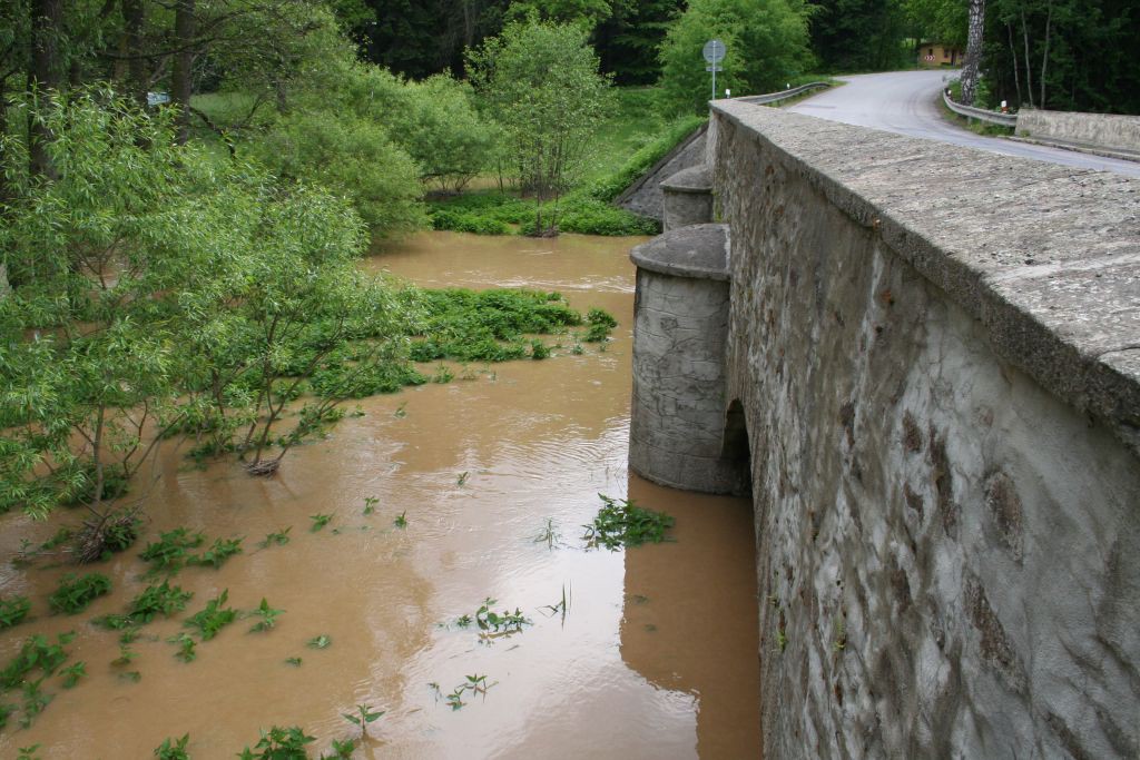 Vysoina, Kemenick vrchovina, potoky 28. 5. 2006