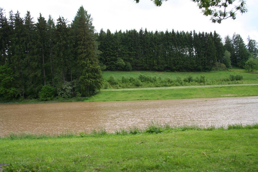 Vysoina, Kemenick vrchovina, potoky 28. 5. 2006