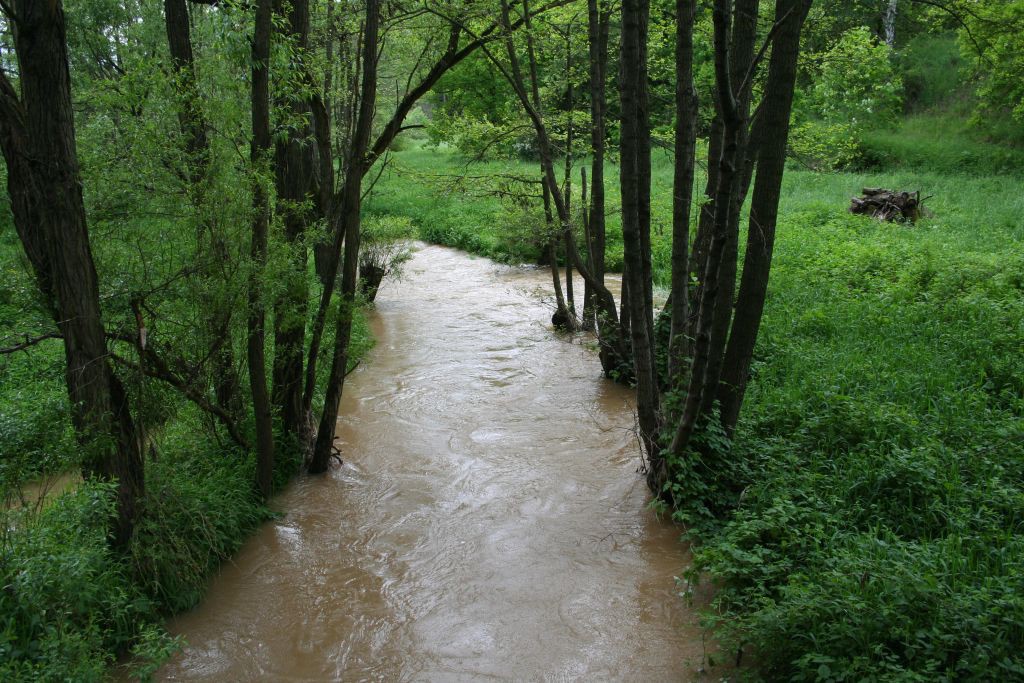 Vysoina, Kemenick vrchovina, potoky 28. 5. 2006