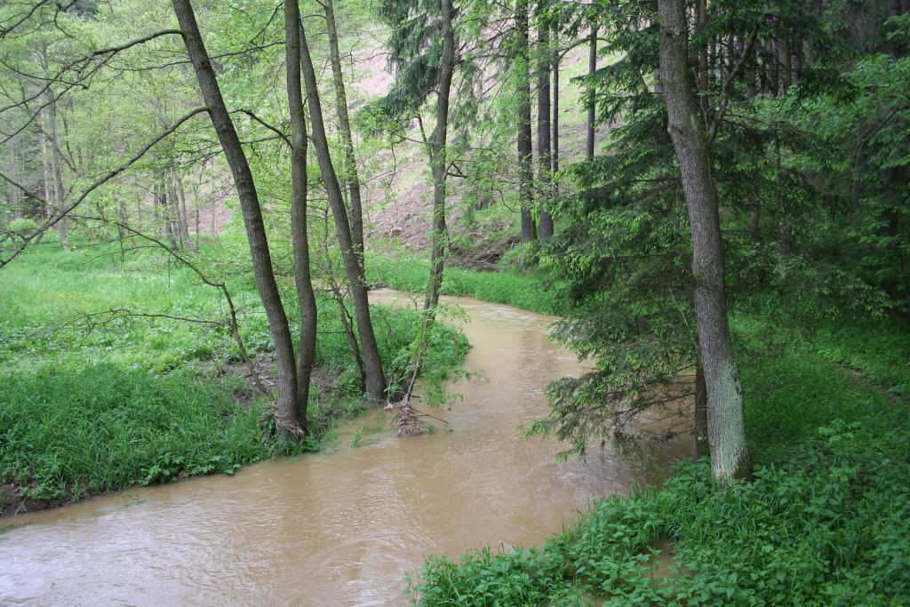 Vysoina, Kemenick vrchovina, potoky 28. 5. 2006