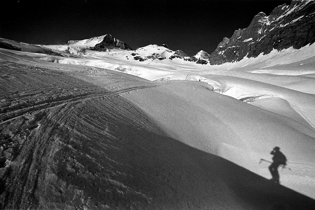 Wetterhorn na lych