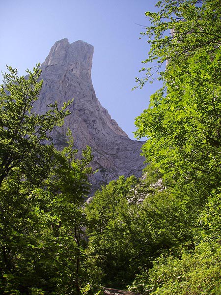 Wilder Kaiser, Prediktstuhl, Nordkante