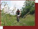 Xterra 2007