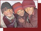 Zanskar, doprava d�eva do Kargyaku