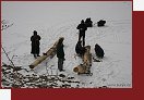 Zanskar, doprava d�eva do Kargyaku