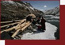 Zanskar, doprava d�eva do Kargyaku