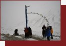 Zanskar, doprava d�eva do Kargyaku