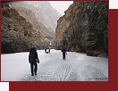 Zanskar, doprava d�eva do Kargyaku