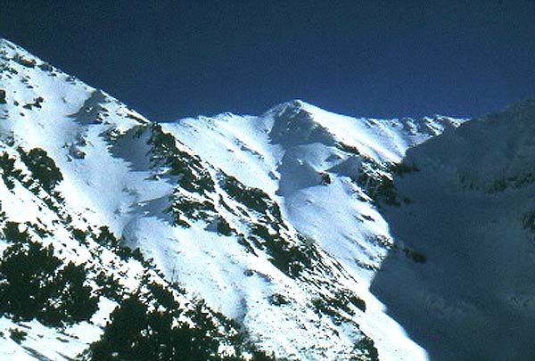 Zpadn Tatry, mrtv kamzci