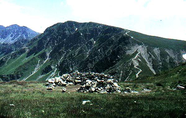 Zpadn Tatry, mrtv kamzci