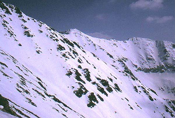 Zpadn Tatry, mrtv kamzci