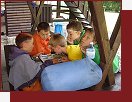 Kom louka - Zem pbh 2005