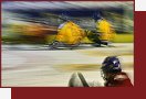 Sledge-hockey