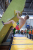 Sport Life Boulder Contest