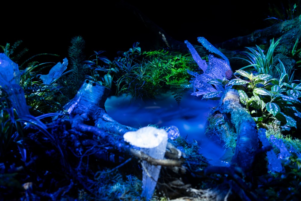 Křišťálová zahrada, Jiří Pačinek, Botanická zahrada Trója.