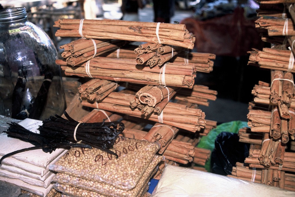 Skořice. Cinnamomum.