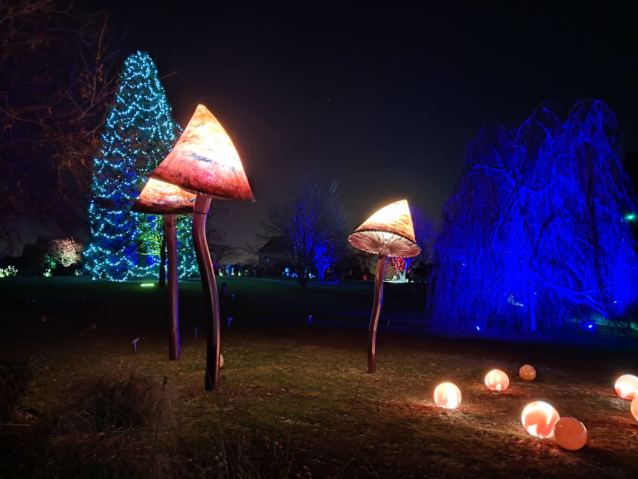 Za svařákem na kraj světa nebo do Botanické zahrady
