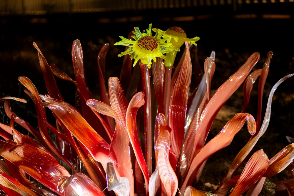 Botanická zahrada, skleněný objekt Jiřího Pačinka. 