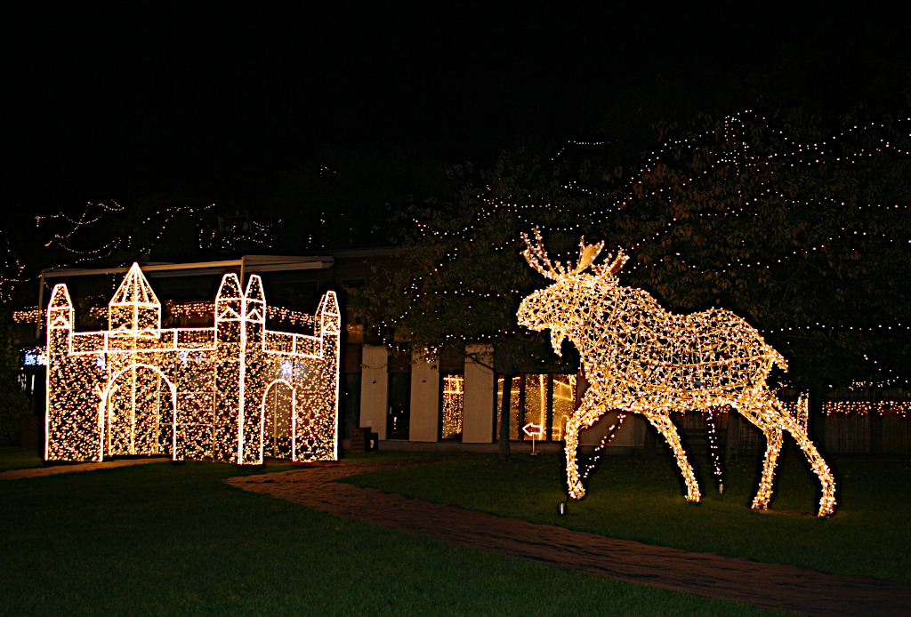 Los běží do Bratislavy.