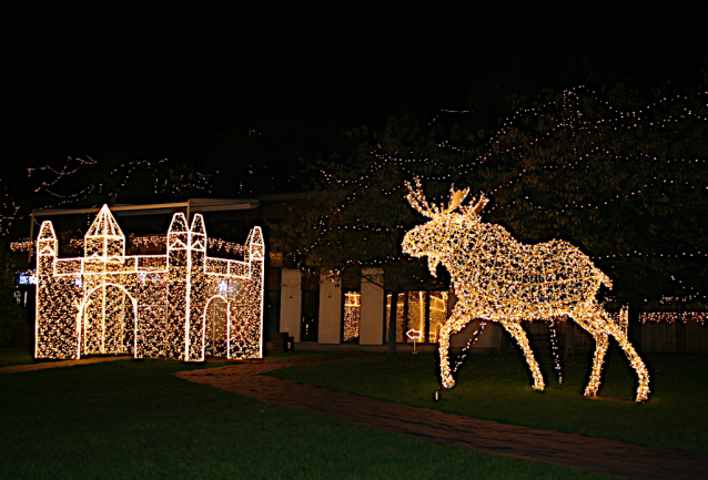 Srdce Evropy, světelná výstava v Praze