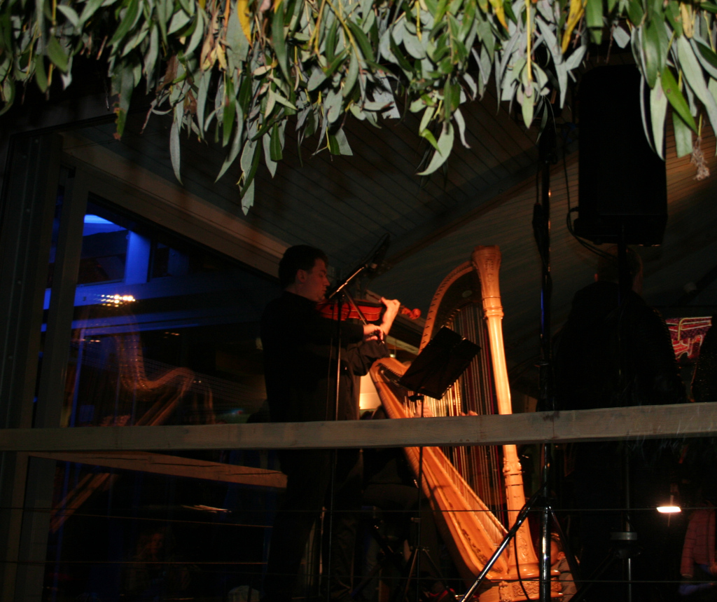 Výstavu Srdce Evropy otevřel houslista Miroslav Ambroš a harfenistka Hedvika Mousa Bacha. 