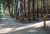 Voděrady - Jevany cross country