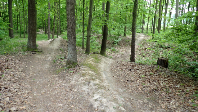 Hradištko Enduro na soutoku Sázavy a Vltavy