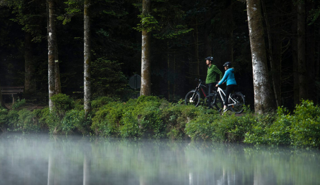 Elektrokola: bicykly na těžkou každodenní práci nebo pro zábavu?