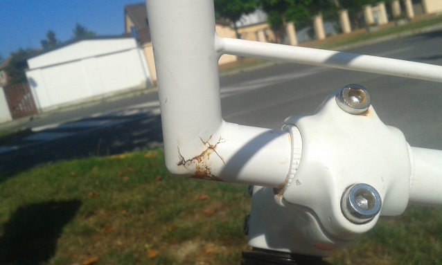 Z Rebela se stal dravec a vytrvalec