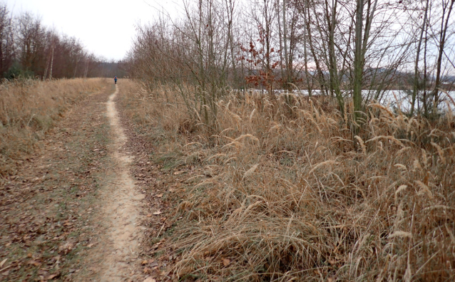 4 bruslařské pohádky u Roudnice: veslařský kanál Račice a tři pískovny Dobříň