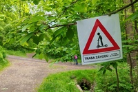 24 hodin na koloběžce se letos jelo pro Michala Vitouše 24 hodin na koloběžce se letos jelo pro Michala Vitouše