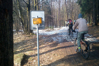 Tour de aleje 2020  Tour de aleje 2020